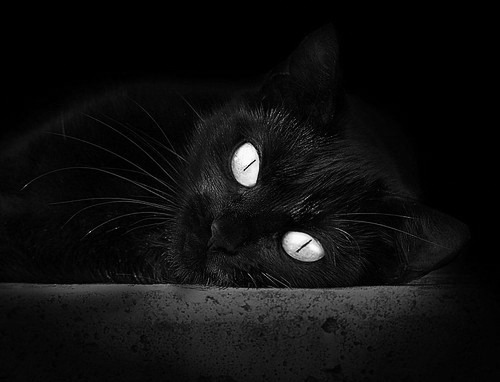 铁闸与利刃，斯通斯一锤定音，乌拉圭链式防守绞杀亚特兰大进攻