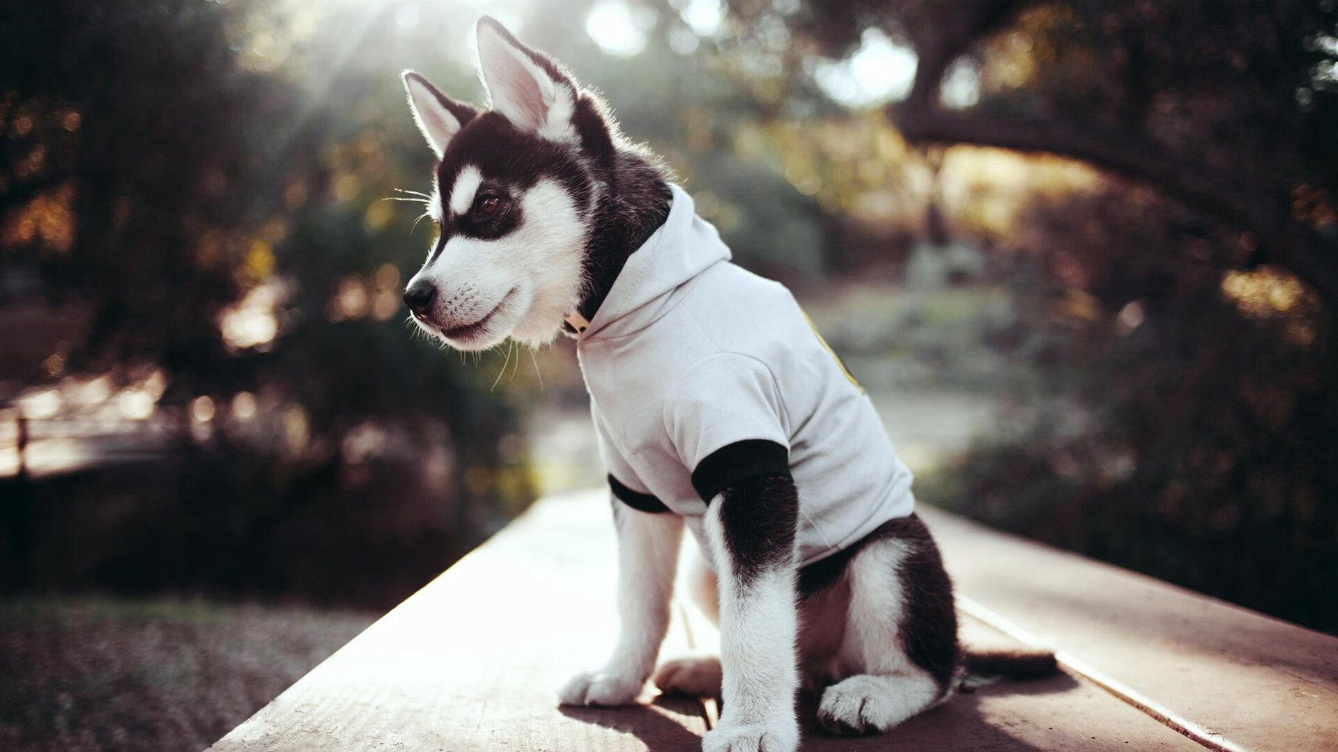 东决关键战之夜，那个被遗忘的巨人，用最古老的防守艺术锁死了一切