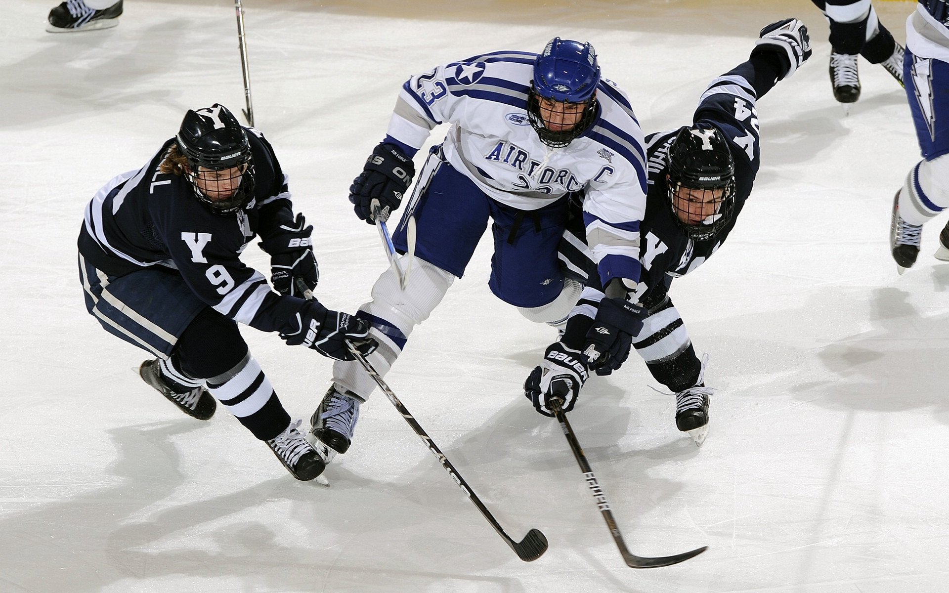 F1年度争冠焦点战，那不勒斯血拼新西兰，蒙扎的咆哮与王座的低语